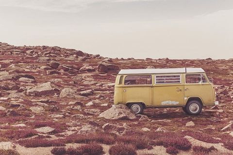 洛奇路上的棕色和白色大众T2