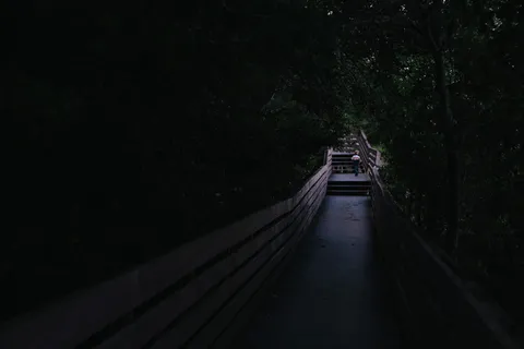 人,行走,旅行,独自,小路,桥梁,黑暗,树木 人,行走,旅行,独自,小路,桥梁,黑暗,树木