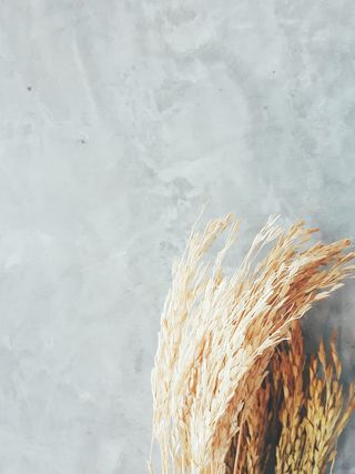 泰国ไทรโยค, 赛约克河房子，没有人，特写，清洁，清洁设备，扫帚