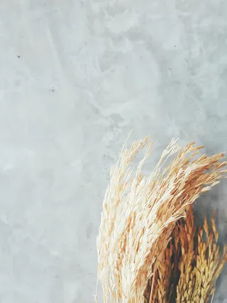 泰国ไทรโยค, 赛约克河房子，没有人，特写，清洁，清洁设备，扫帚