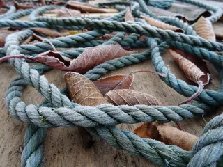 绳子，树叶，霜冻，花园，打结，航海船，绳子，捆扎
