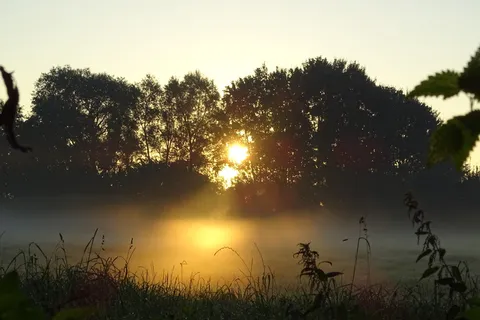 秋天,雾,心情,风景,金秋,树木,日出,晨曦 秋天,雾,心情,风景,金秋,树木,日出,晨曦