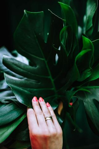 五彩缤纷的奇花异草