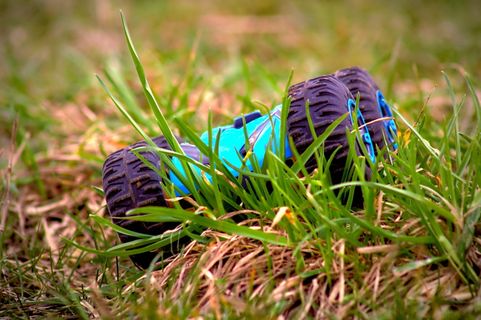 服装，服装，草，蛇，动物，爬行动物，德国