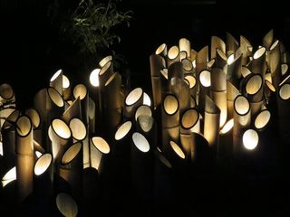 竹, 植物, 芦苇, 照明设备, 照亮, 夜, 发光, 没有人