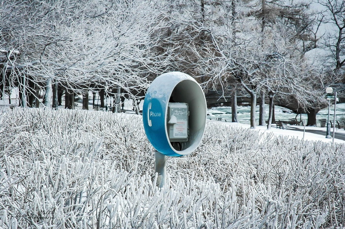 大卫，寒冷，雪，冬季景观，冬季，白色，自然，泽