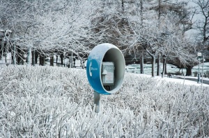 大卫，寒冷，雪，冬季景观，冬季，白色，自然，泽