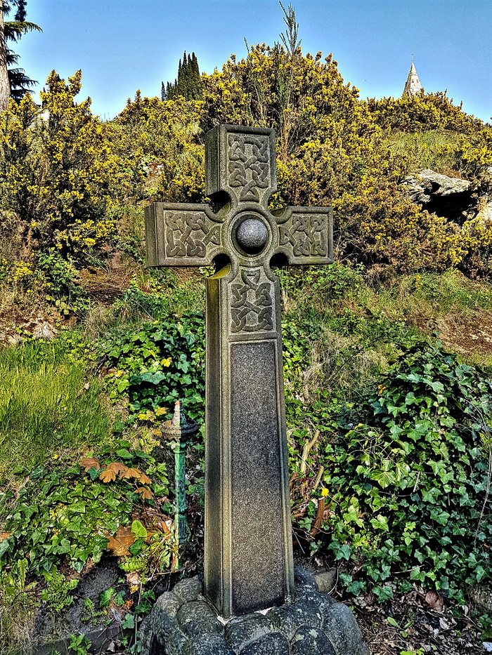 英国，诺丁汉，#教堂#墓地#公墓#墓地#古老#十字架#宗教#信仰、植物、无人、树木、自然、白天