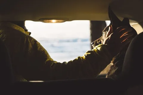 人、人、汽车、车辆、交通、旅行、冒险、乘客 人、人、汽车、车辆、交通、旅行、冒险、乘客