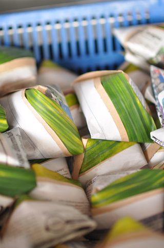 美食、美味、熟食、美味、静物、特写、无人、选择性聚焦