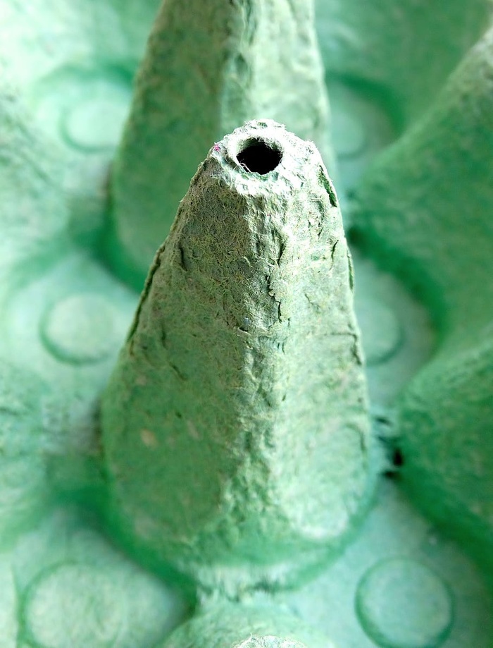 鸡蛋盒，纸板，纸，很棒，绿色，形状，特写，绿色