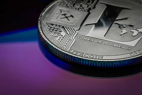 莱特币,商业,金融,金融,硬币,加密货币,财富,货币 莱特币,商业,金融,金融,硬币,加密货币,财富,货币