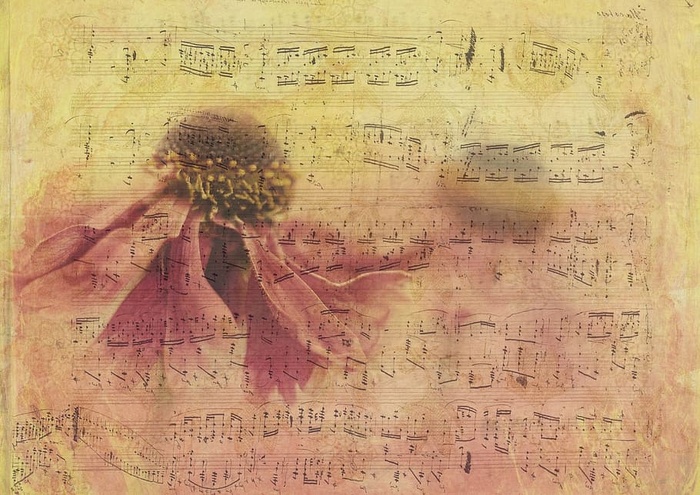 音乐笔记纸，纹理，背景，纸张，花朵，花朵，花朵，notenblatt