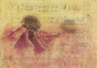 音乐笔记纸，纹理，背景，纸张，花朵，花朵，花朵，notenblatt