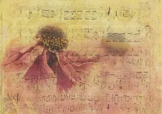 音乐笔记纸，纹理，背景，纸张，花朵，花朵，花朵，notenblatt