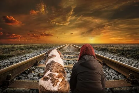 天空，日落，云朵，过孔，狗，女人，风景，酷壁纸