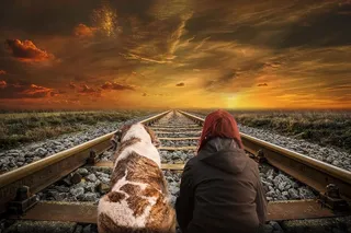 天空，日落，云朵，过孔，狗，女人，风景，酷壁纸