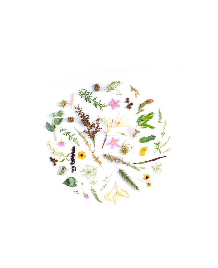 各种颜色的花，艺术，图形，图案，花卉设计，陶器，罐子，花瓶