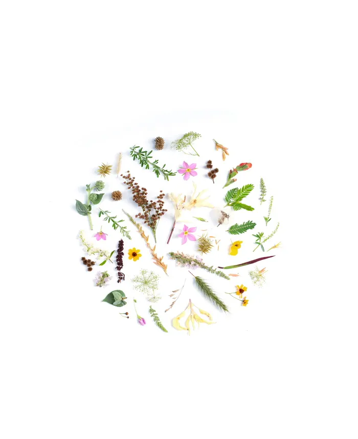 各种颜色的花，艺术，图形，图案，花卉设计，陶器，罐子，花瓶