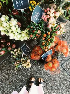 高角度视图、市场、低剖面、沟通、新鲜度、植物、花卉、食品