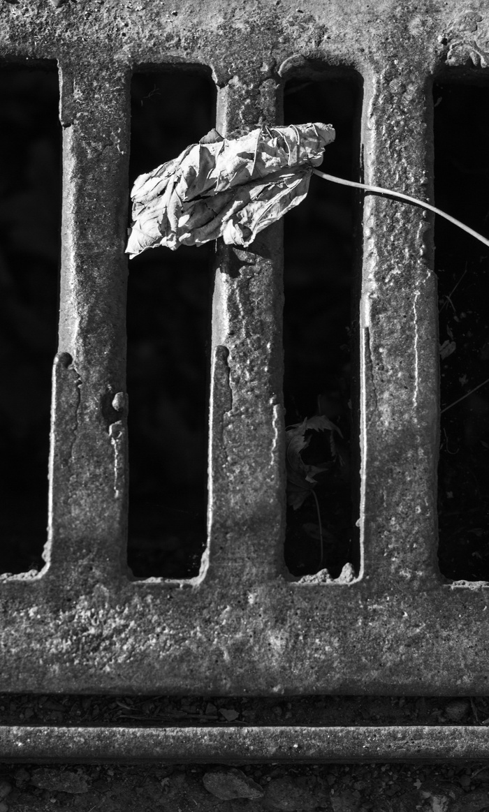 渠道、薄板、污水、大气、建筑、建筑、街道、城市