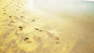 痕迹，不是，沙子，海洋，海滩，指纹，自然