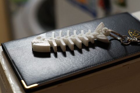 纹理、特写、3d打印、鱼类、室内、特写、技术、无人