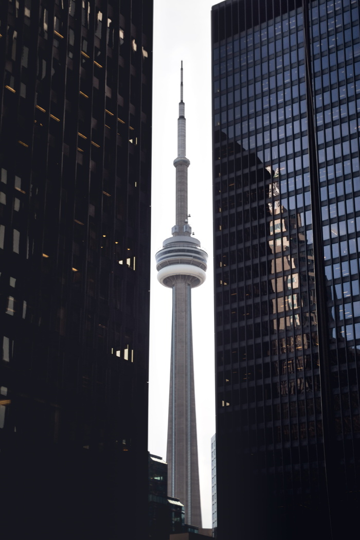 多伦多, 加拿大, 塔, 壁纸, 城市, 市中心, 城市, cntower