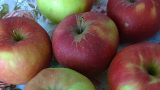 苹果, 关, 健康, 脆, 弗里施, 美味, 天然产物, 维生素