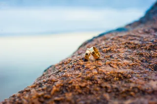 联盟，物体，婚姻，海滩，石头，联盟，集合，野生动物