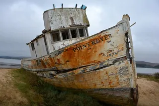 白船, 船, 太平洋, 湾区, 海滩, 钓鱼, 旅行, 海岸