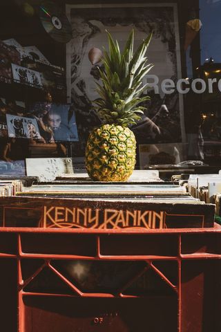 食物、灯光、城市、人、建筑、艺术、商业、经典