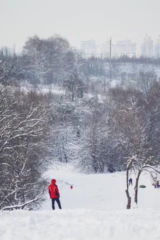 雪地里的人，人，人，自然，雪，冬天，暴风雪，风暴