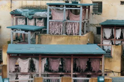 fez,摩洛哥,木材,胶合板,城市,染料,家居装饰,建筑 fez,摩洛哥,木材,胶合板,城市,染料,家居装饰,建筑