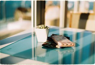 越南，岘港，粉色，植物，阳光，花朵，蓝色，选择性聚焦