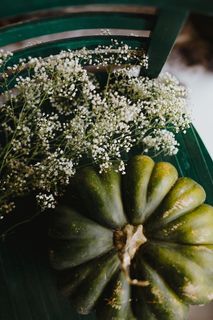 绿色南瓜俯视图