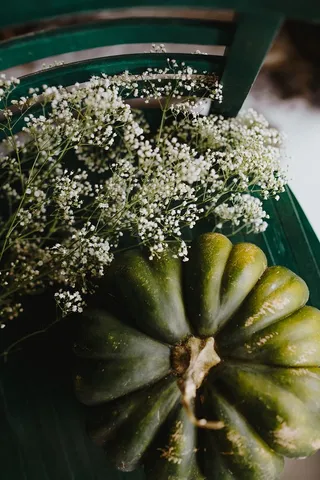 绿色南瓜俯视图