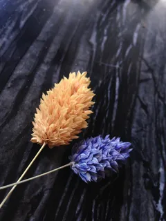 装饰，颜色，哑光，大理石，蓝色，橙色，花，开花植物