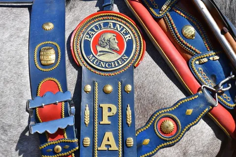 蓝色, paulaner 皮革马鞍, 辔头, 失速, 马, 鞍, 瑞特, 慕尼黑啤酒节