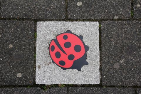 混凝土板，装饰，瓢虫，无人，高视角，人行道，白天，红色