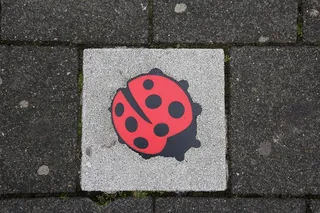 混凝土板，装饰，瓢虫，无人，高视角，人行道，白天，红色