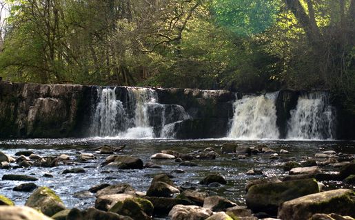 英国,格拉斯哥,林恩公园,水,树,风景-自然,流水,长时间曝光 英国,格拉斯哥,林恩公园,水,树,风景-自然,流水,长时间曝光