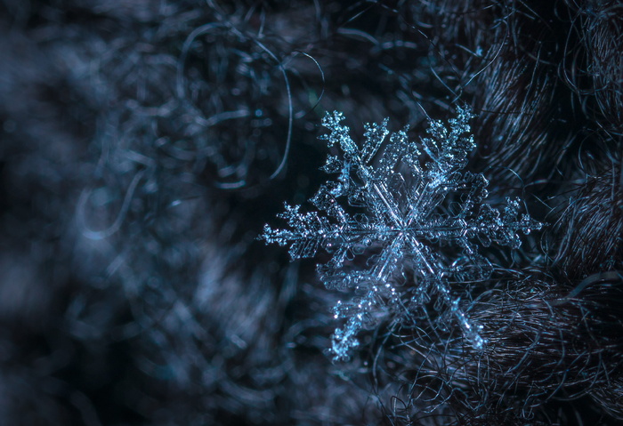 雪花微距摄影