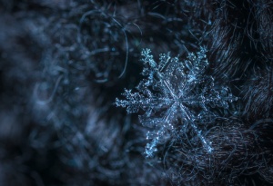 雪花微距摄影