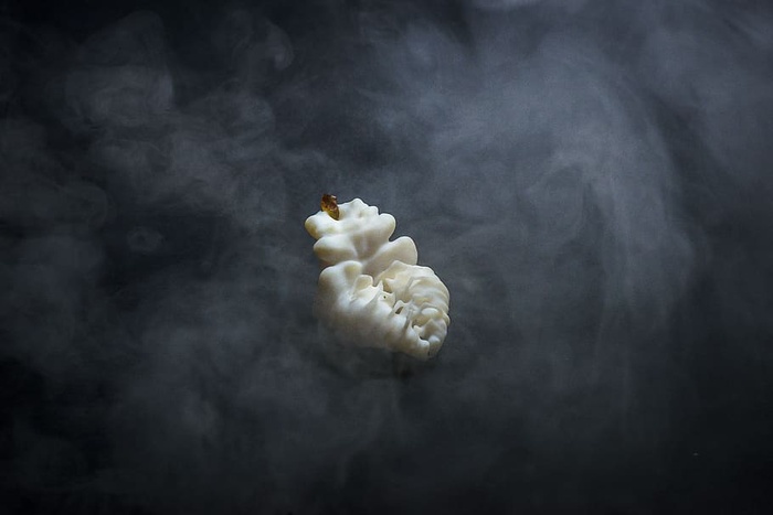 采购产品，琥珀，外星人，珠宝，珠宝，格但斯克，波兰，骨头