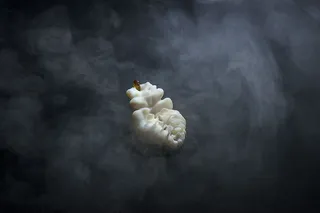 采购产品，琥珀，外星人，珠宝，珠宝，格但斯克，波兰，骨头