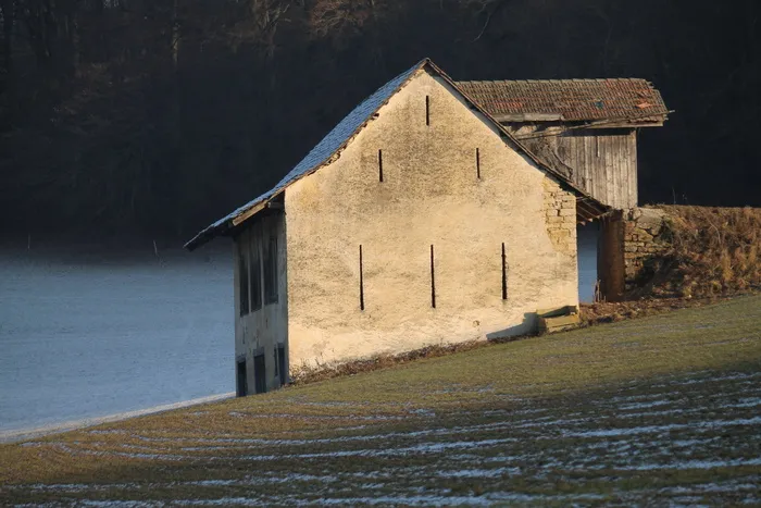 家，孤独，孤独，田野，孤独的房子，孤独，旧楼，离开