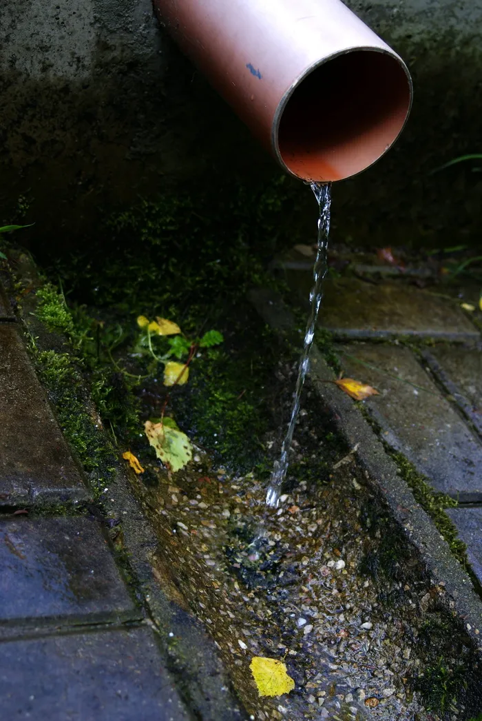 水管，塑料管，污水，流出，污水，渠道，水，石头