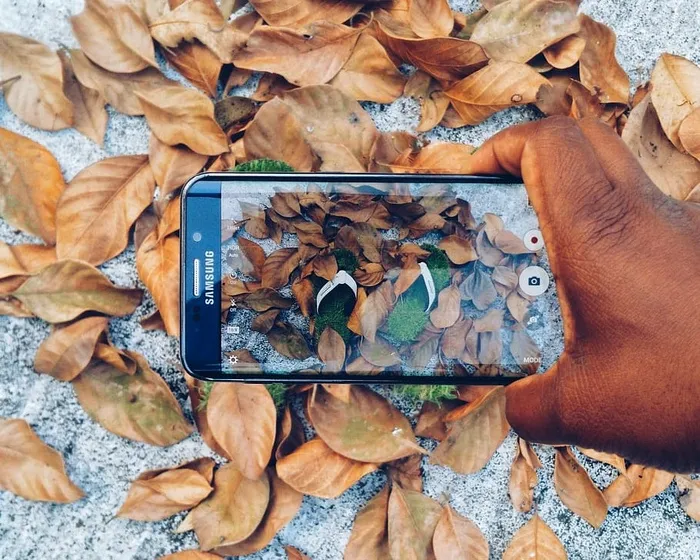 找到你要找的吗？