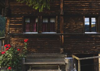 棕色木屋，长凳，花，窗户，木头，房子，外部，小屋